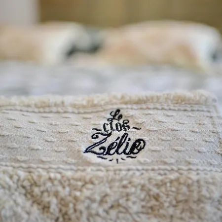 Le Clos Zelie Guest house Pouilly-le-Monial